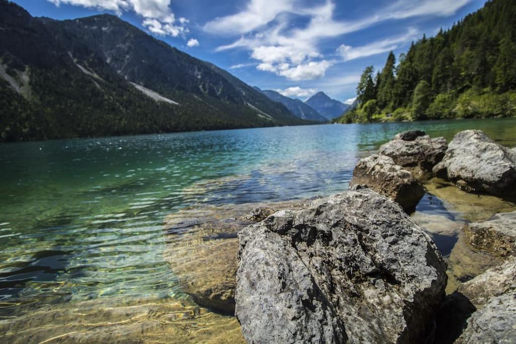 Weber Alpenveilchen Lechbruck am See